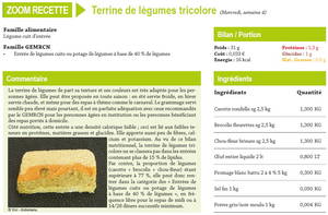 Terrine de légumes tricolore