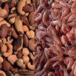 ALLERGIES ALIMENTAIRES – ACCUEILLIR ET NOURRIR LES PERSONNES ALLERGIQUES