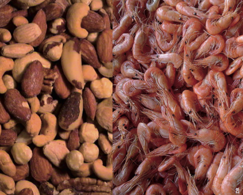 ALLERGIES ALIMENTAIRES – ACCUEILLIR ET NOURRIR LES PERSONNES ALLERGIQUES