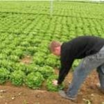 Dupont Restauration s’engage plus que jamais dans une démarche de développement durable