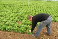 Dupont Restauration s’engage plus que jamais dans une démarche de développement durable
