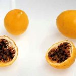 Les fruits et légumes frais, quel talent !