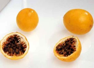 Les fruits et légumes frais, quel talent !