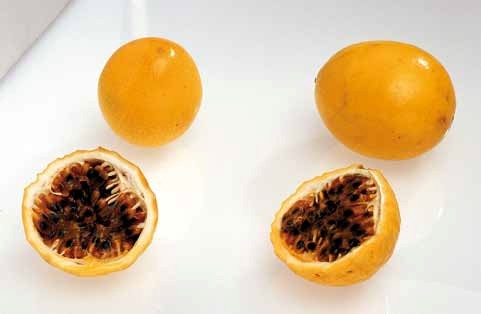 Les fruits et légumes frais, quel talent !