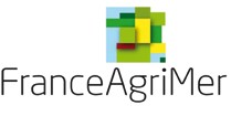 Lait scolaire, FranceAgriMer propose des produits bio