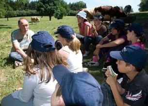 La viande affirme sa place dans le courant bio