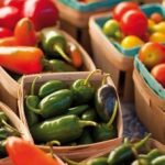 49èmes Journées d’études de l’AFDN : Les enjeux de la nutrition, du collège à la haute altitude
