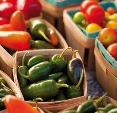 49èmes Journées d’études de l’AFDN : Les enjeux de la nutrition, du collège à la haute altitude