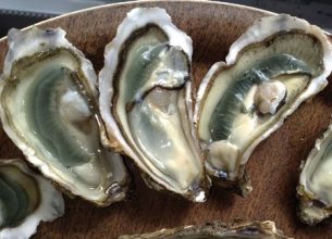 Présentation des virus à l’origine des intoxications alimentaires