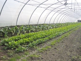 Un accès au bio pour la restauration collective essonnienne avec le Pôle Abiosol