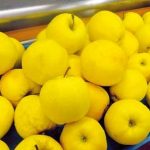 Programme «Manger local»  pour favoriser les circuits courts