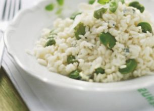 Prévenir les intoxications alimentaires à Bacillus cereus