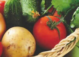 CCTP « mode d’emploi » : Les légumes