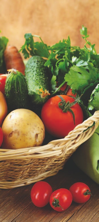 CCTP « mode d’emploi » : Les légumes