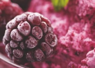 CCTP « mode d’emploi » : Les glaces et sorbets