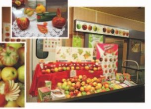 Plaisir et défi au collège Georges Brassens de Podensac