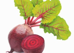 « 9 enfants sur 10 ne reconnaissent pas une betterave ! »