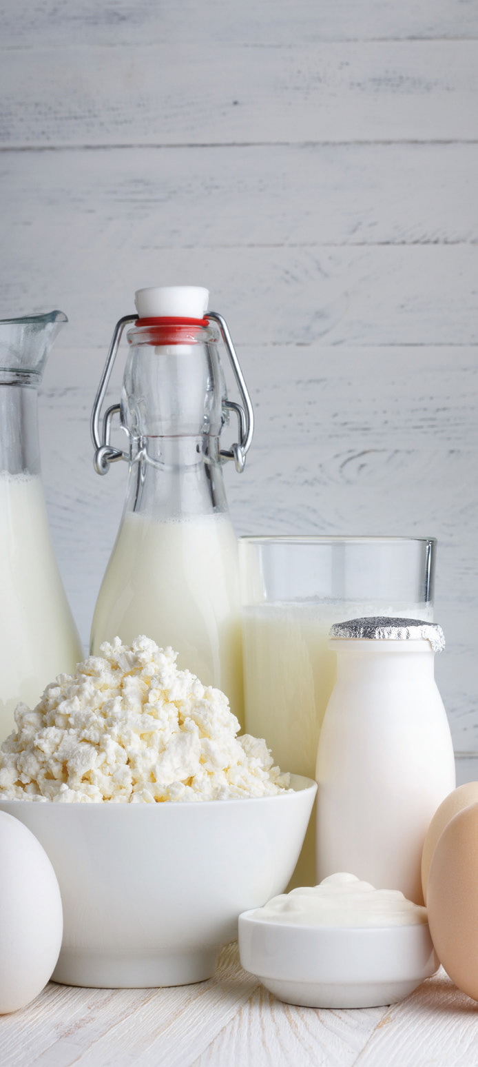 Les produits laitiers