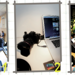 Initiation des enfants aux pratiques numériques avec « 1 Jour 1 Menu 1 Photo »