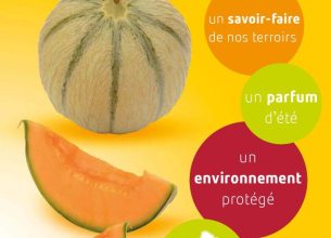 Des melons français pour les convives Elior