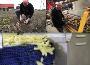 Circuits courts à Loon-Plage : après la viande, la pomme de terre