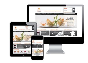 EpiSaveurs.fr, un outil de référence pour faciliter votre quotidien