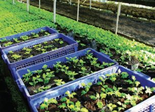 Un guide pour lever les freins des achats de proximité