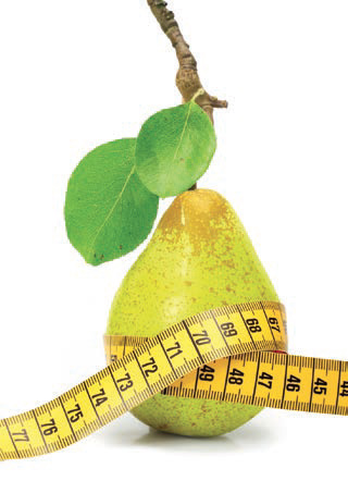 Les Journées de nutrition pratique Dietecom