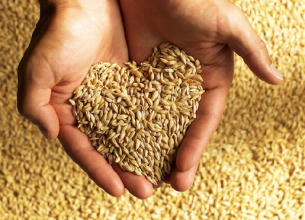 Sodexo, toujours en lutte contre le gaspillage alimentaire