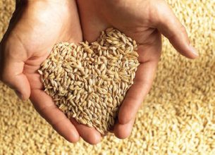 Un engagement au long cours contre le gaspillage pour Sodexo