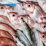 Les moyens de contrôle pour la qualité et la fraîcheur des poissons