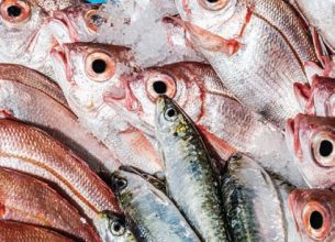 Les moyens de contrôle pour la qualité et la fraîcheur des poissons