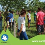 L’introduction des produits bio et locaux en RA et RIA