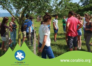 L’introduction des produits bio et locaux en RA et RIA
