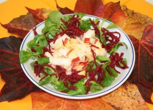 Menus « mode d’emploi » Janvier-Février 2016