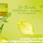 Les salades à l’honneur au MedFEL 2016