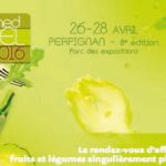 Le MedFEL 2016