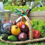 Le savoir-faire de nos régions au cœur des achats chez Sodexo