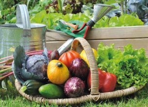 Le savoir-faire de nos régions au cœur des achats chez Sodexo