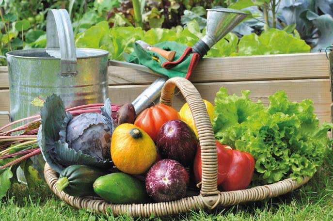 Le savoir-faire de nos régions au cœur des achats chez Sodexo
