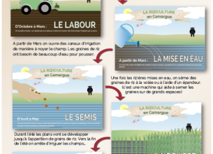 Remunicipalisation des cantines scolaires à Avignon pour plus de qualité
