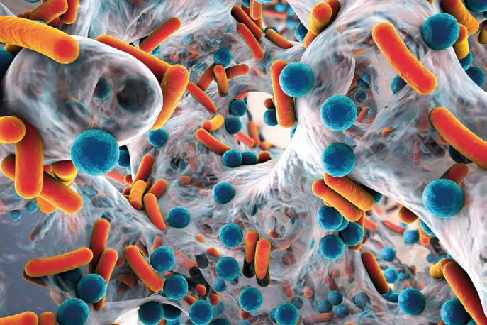 Les biofilms, une nouvelle approche du nettoyage désinfection