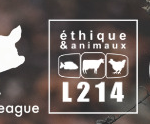 Bientôt la fin des œufs de poules en cage pour Elior