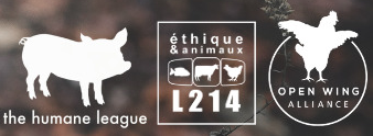 Bientôt la fin des œufs de poules en cage pour Elior
