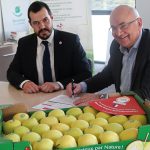 Vergers écoresponsables, un engagement respectueux de l’environnement avec TerreAzur