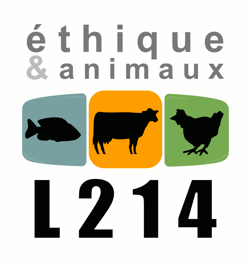 L214 sollicite MRS pour la fin de l’élevage en batterie