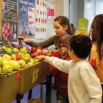 Secteur Enseignement