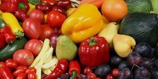 20% de bio dans les cantines : une mesure adoptée par le Sénat