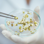 Sodexo partenaire des Protein Awards « Protéines Végétales » au 11ème Protein Summit