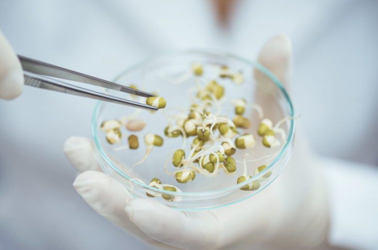 Sodexo partenaire des Protein Awards « Protéines Végétales » au 11ème Protein Summit
